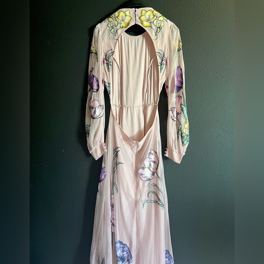ASOS EDITION Floral Embroidered Maxi Dress Dress with Open Back | Size 8 - Picture 3 of 6